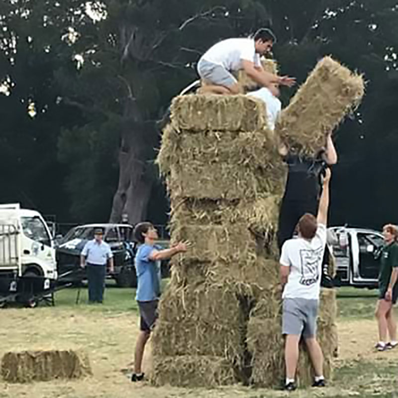 HAY STACKING